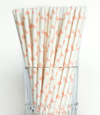 Colorful Paper Straws Baby Pink Heart